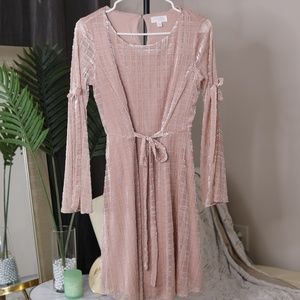 Lauren Conrad Blush Long Sleeve Mesh Suede Dress